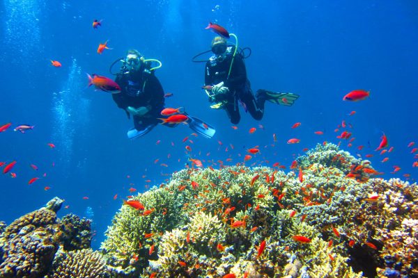 Scuba-2000-Dahab-Egypt-25