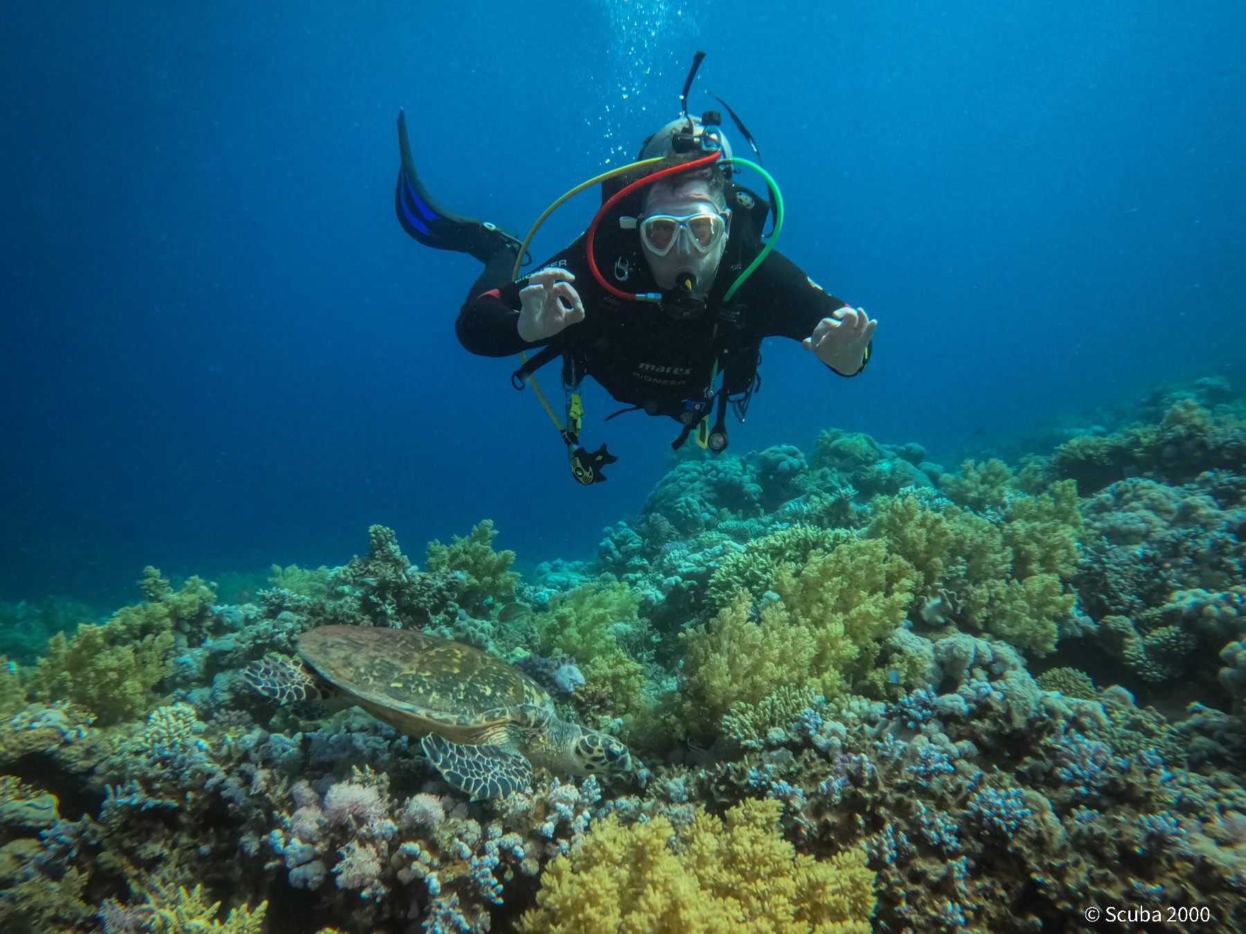 Leicester familyfriendly scuba diving and ocean adventure club!