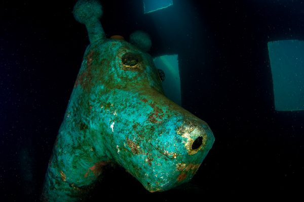 Nessie - Stoney Cove's most elusive inhabitant, hiding out underneath the Nemo's Bar!