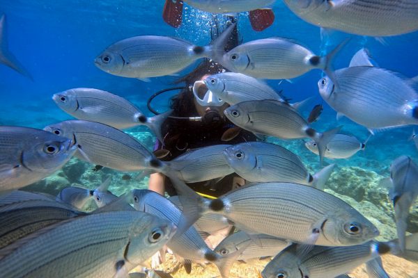 Scuba-2000-Cyprus-09