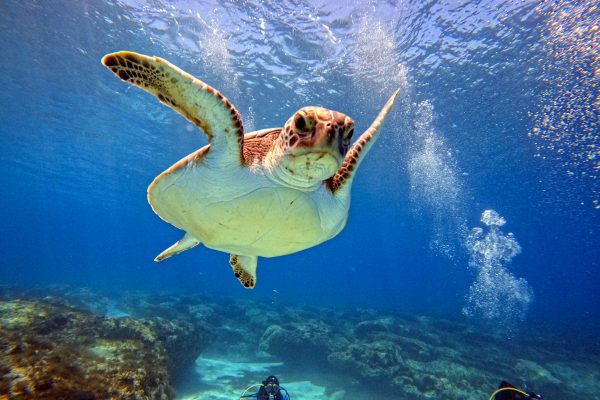 Scuba-2000-Cyprus-10